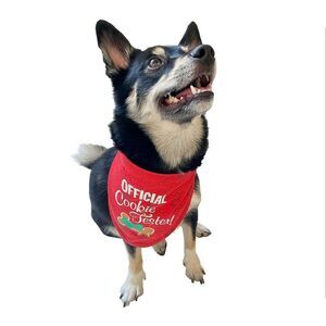 Woof Pet Bandana Official Cookie Tester Adjustable Neck Small-Medium Dog New OOS